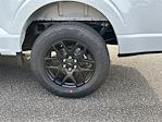 2025 Ford F-150 SuperCrew Cab 4x2 Pickup for sale #KFD23641 - photo 19