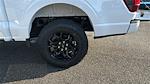 2026 Ford F-150 SuperCrew Cab 4WD Pickup for sale #KFD26457 - photo 19