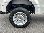 2024 Ford F-450 Crew Cab DRW 4WD Pickup for sale #KFD50979B - photo 17