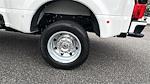 2024 Ford F-450 Crew Cab DRW 4WD Pickup for sale #KFD50979B - photo 19