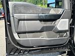 2025 Ford F-250 Crew Cab 4x4 Pickup for sale #KFD80538 - photo 10