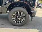2025 Ford F-250 Crew Cab 4x4 Pickup for sale #KFD80538 - photo 12