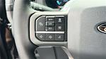 2025 Ford F-150 SuperCrew Cab 4x4 Pickup for sale #KFE19232 - photo 24