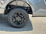 2025 Ford F-150 SuperCrew Cab 4x4 Pickup for sale #KFE20880 - photo 19