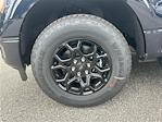 2025 Ford F-150 SuperCrew Cab 4x4 Pickup for sale #KFE20956 - photo 11