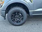 2025 Ford F-150 SuperCrew Cab 4x4 Pickup for sale #KFE24426 - photo 11