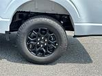 2025 Ford F-150 SuperCrew Cab 4x4 Pickup for sale #KFE29259 - photo 19