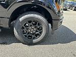 2025 Ford F-150 SuperCrew Cab 4x4 Pickup for sale #KFE43160 - photo 12
