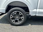 2025 Ford F-150 SuperCrew Cab 4x4 Pickup for sale #KFE45882 - photo 17