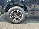 2025 Ford F-150 SuperCrew Cab 4x2 Pickup for sale #KFE46887 - photo 17