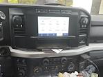 2023 Ford F-350 Crew Cab DRW 4x4 Pickup for sale #KFE50075A - photo 4
