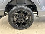 New 2025 Ford F-150 XL Regular Cab for sale #KFF47696 - photo 14