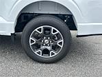 2024 Ford F-150 SuperCrew Cab 4x4 Pickup for sale #KFF58870 - photo 19