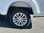 2024 Ford F-150 SuperCrew Cab 4x4 Pickup for sale #KFF65096 - photo 19