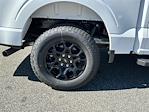 2024 Ford F-150 SuperCrew Cab 4x4 Pickup for sale #KFF80540 - photo 17