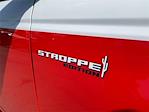 New 2025 Ford Bronco Stroppe Edition 4WD SUV for sale #BR25338 - photo 7