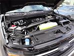 2025 Ford F-150 SuperCrew Cab 4x4 Pickup for sale #F125050 - photo 22