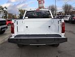 2025 Ford F-150 SuperCrew Cab 4x4 Pickup for sale #F125084 - photo 17
