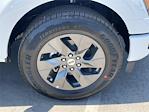 2025 Ford F-150 SuperCrew Cab 4x2 Pickup for sale #F125346 - photo 25