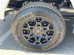 2025 Ford F-150 SuperCrew Cab 4x4 Pickup for sale #F125384 - photo 25