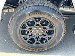 New 2025 Ford F-150 XLT SuperCrew Cab 4x4 Pickup for sale #F125385 - photo 32