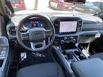 New 2025 Ford F-150 XLT SuperCrew Cab 4x4 Pickup for sale #F125388 - photo 7