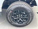 2025 Ford F-150 SuperCrew Cab 4x4 Pickup for sale #F125464 - photo 32