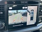 New 2025 Ford F-150 XLT SuperCrew Cab 4x4 Pickup for sale #F125466 - photo 13