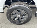 New 2025 Ford F-150 STX SuperCrew Cab 4x4 Pickup for sale #F125517 - photo 32