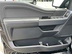 New 2025 Ford F-150 XLT SuperCrew Cab 4WD Pickup for sale #F125605 - photo 20