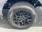 2025 Ford F-150 SuperCrew Cab 4x2 Pickup for sale #F125643 - photo 32
