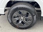 New 2025 Ford F-150 STX SuperCrew Cab Pickup for sale #F125680 - photo 24