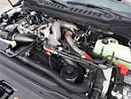 2024 Ford F-350 Regular Cab SRW 4x2 Pickup for sale #F324306 - photo 24