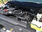 2024 Ford F-350 Regular Cab SRW 4x4 Pickup for sale #F324419 - photo 24