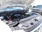2024 Ford F-350 Regular Cab SRW 4x4 Pickup for sale #F324430 - photo 17