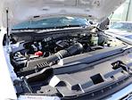 2024 Ford F-350 Regular Cab SRW 4x4 Pickup for sale #F324813 - photo 20