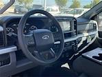 2025 Ford F-350 Regular Cab SRW 4x4 Pickup for sale #F325279 - photo 6