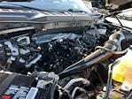 Used 2023 Ford F-150 XLT SuperCrew Cab for sale #PF9834 - photo 36
