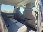 2023 Ford F-150 SuperCrew Cab 4x2 Pickup for sale #B9066 - photo 17