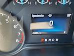 2023 Ford F-150 SuperCrew Cab 4x2 Pickup for sale #B9066 - photo 31