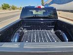 2023 Ford F-150 SuperCrew Cab 4x2 Pickup for sale #B9066 - photo 38