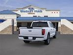 2025 Ford F-150 SuperCrew Cab 4x2 Pickup for sale #F25169 - photo 30