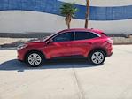 2020 Ford Escape FWD SUV for sale #F25177A - photo 8