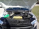 Used 2019 Ford F-150 XL Super Cab for sale #1FTFX1E41KKE16573 - photo 31