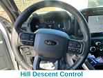 2024 Ford F-150 SuperCrew Cab 4x4 Pickup for sale #BZL401 - photo 16