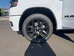 2025 Ram 1500 Crew Cab 4x4 Pickup for sale #R198 - photo 26