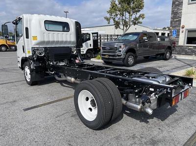 2024 Isuzu NQR Crew Cab 4x2 Cab Chassis for sale #1699130 - photo 2