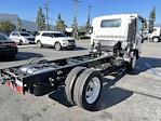 2024 Isuzu NPR-HD Regular Cab 4x2 Cab Chassis for sale #1746682 - photo 11