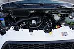 2024 Ford Transit 250 Medium Roof RWD Empty Cargo Van for sale #90965 - photo 22