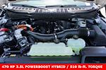 2025 Ford F-150 SuperCrew Cab 4x4 Pickup for sale #91781 - photo 13